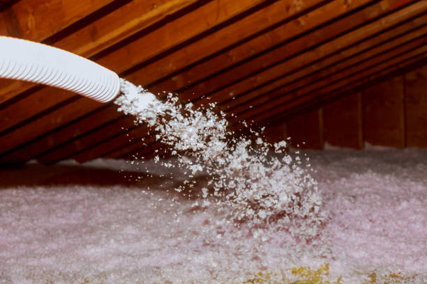 Best Fiberglass Insulation in Worthgton, IN