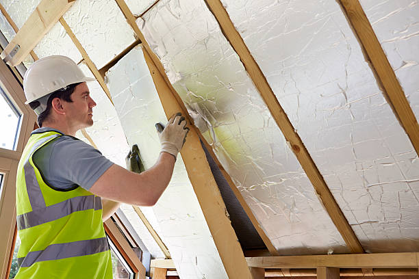 Best Insulation Maintenance and Repair in Worthgton, IN