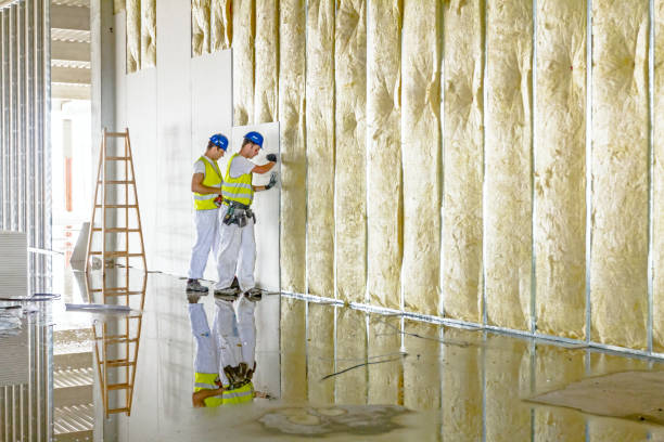 Best Residential Insulation in Worthgton, IN